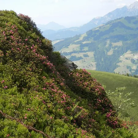 Πανσιόν Sporer