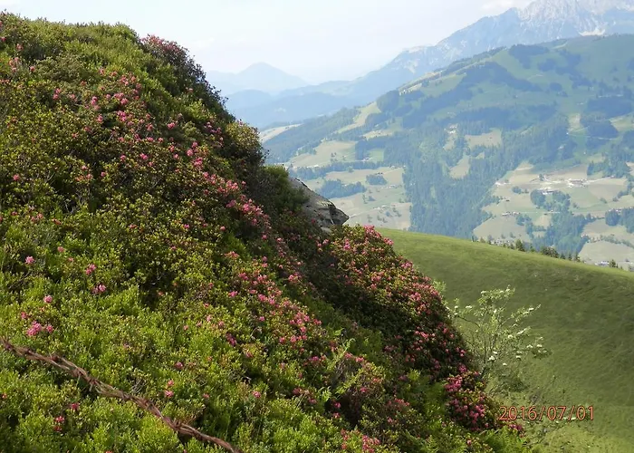 Maison d'hôtes Sporer